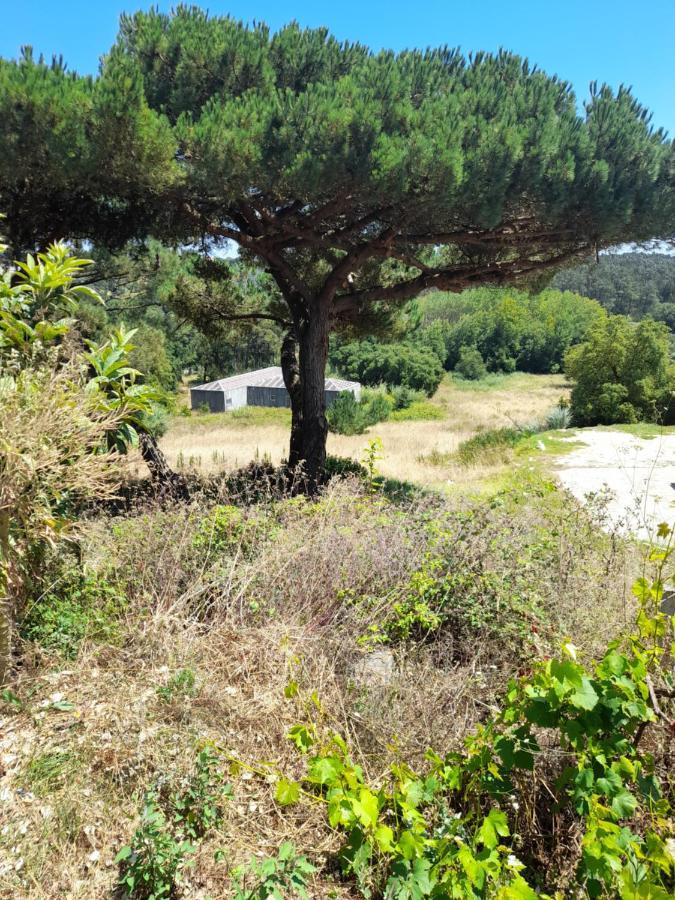 Nadadouro Eco-Country-Cottage المظهر الخارجي الصورة